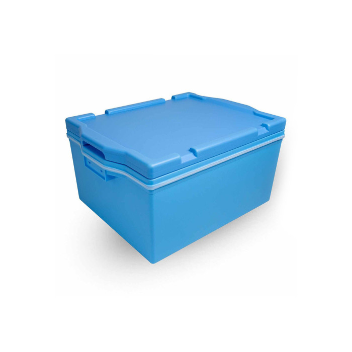 Buy RICE CONTAINER BLUE (50 CUPS) L49XW38XH26CM PLASTIC KORIN ...