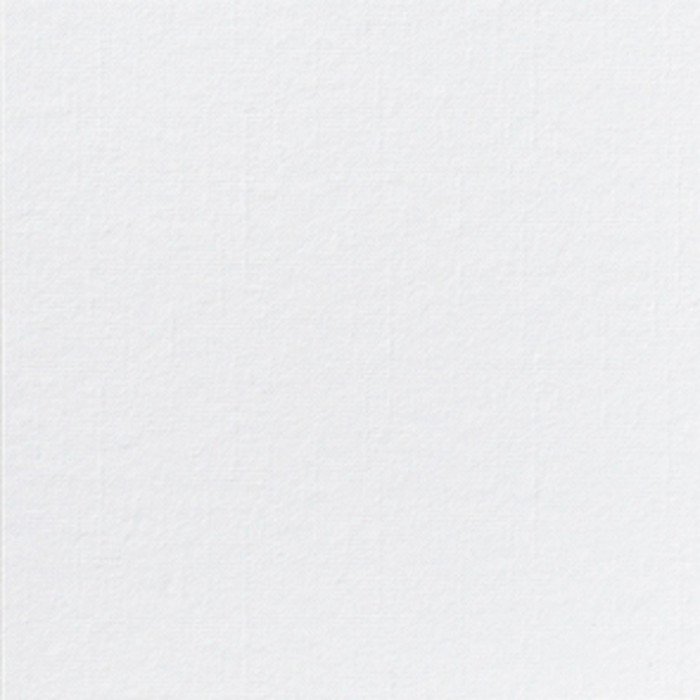 Dunilin Napkin white non-woven 40x40 cm Dunilin Duni (45 units)