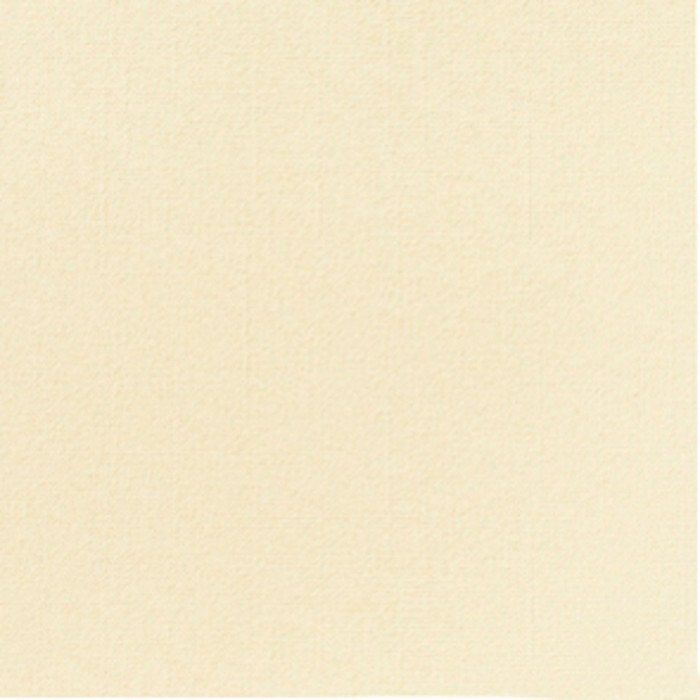 Dunilin Buy Napkin ivory non-woven 40x40 cm Dunilin Duni (45 units) | Restofair RAK