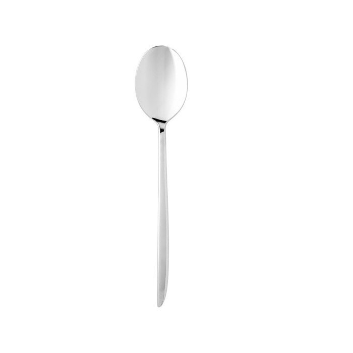 Buy DESSERT SPOON THICK. 4.0MM STAINLESS STEEL ORCA ETERNUM | Restofair RAK